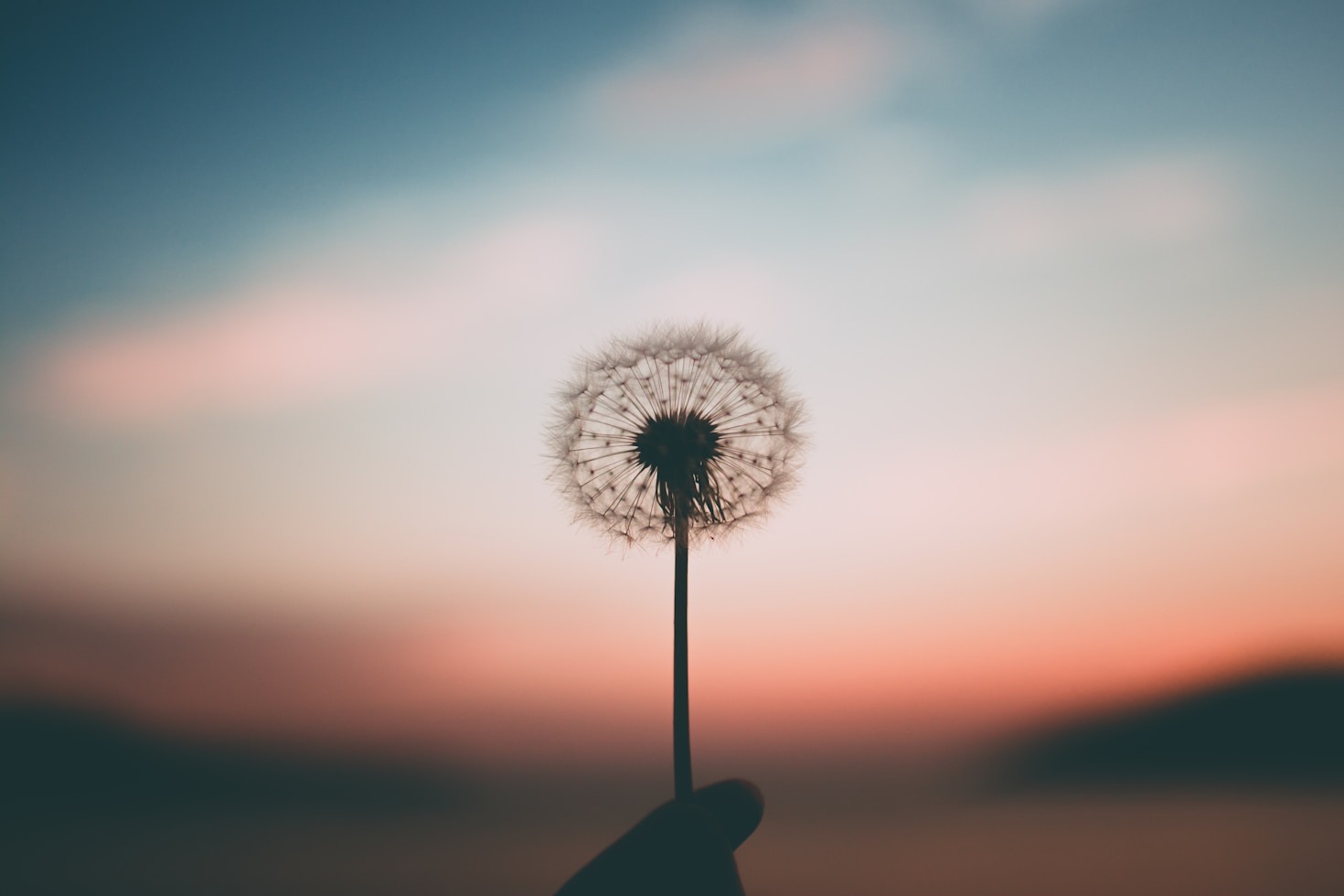 A Arte de Fazer Escolhas Saudáveis com Mindfulness
